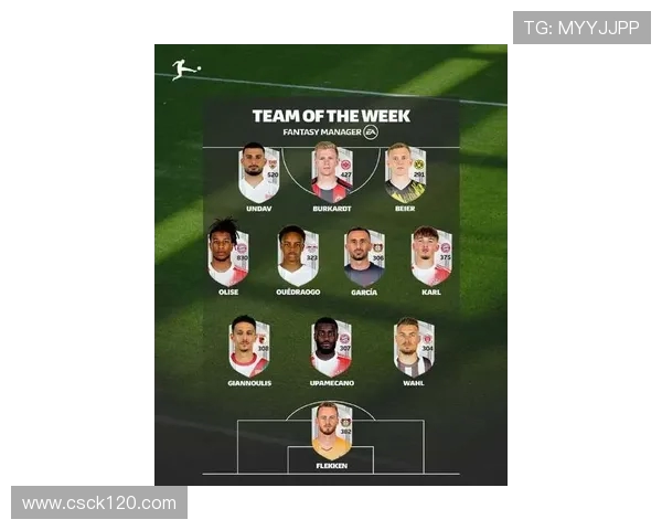 2024-2025赛季德甲球队实力全面分析