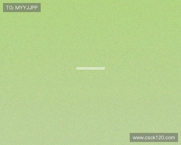 最新关于火箭队的新闻资讯及赛季动态速递